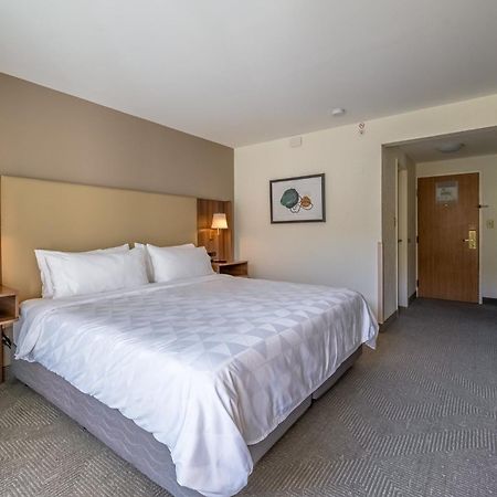 Holiday Inn San Jose La Sabana By Ihg 외부 사진